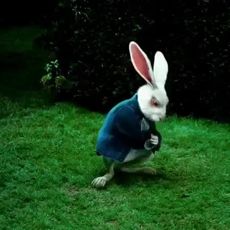 GIF Preview